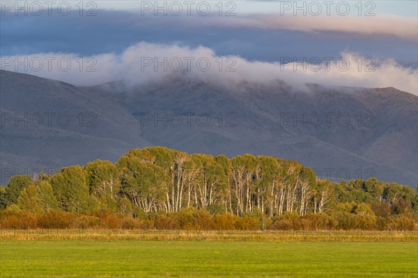 USA Idaho