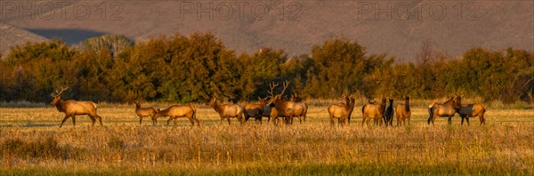 USA Idaho