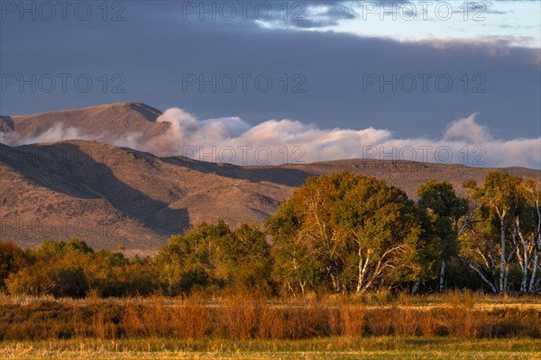 USA Idaho