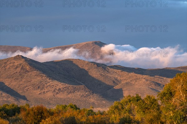 USA Idaho