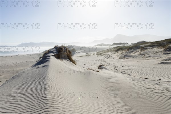 Sandy beach in Walker Bay Nature Reserve