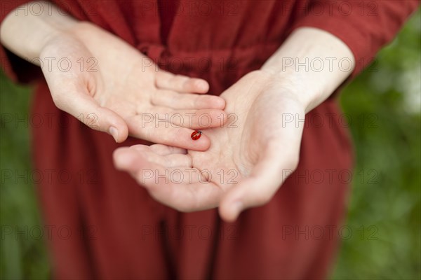 Young woman holding ladybug in hands on meadow