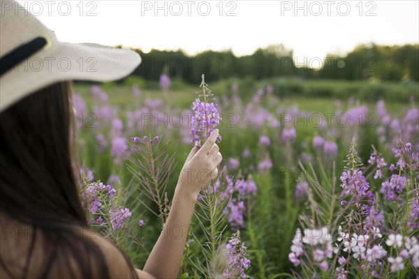 Young woman touching flower in meadow