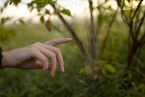 Close-up of woman finger touching spiders web