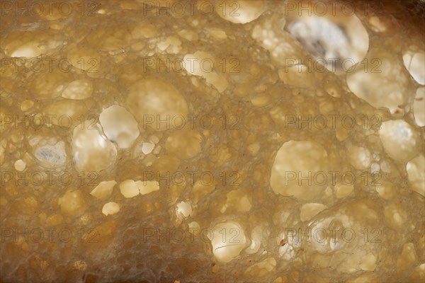 Close-up of freshly baked bread