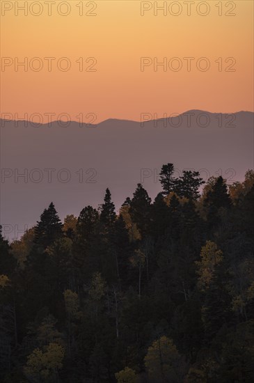 Usa, New Mexico, Santa Fe, Forest and Sangre De Cristo Mountains at sunset