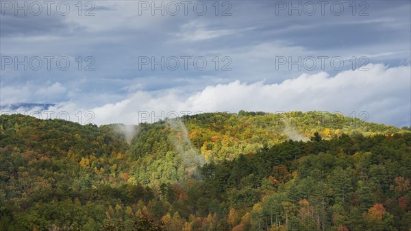 USA, Tennessee, Pittman Center, Forested Smoky Mountains in early morning sunlight