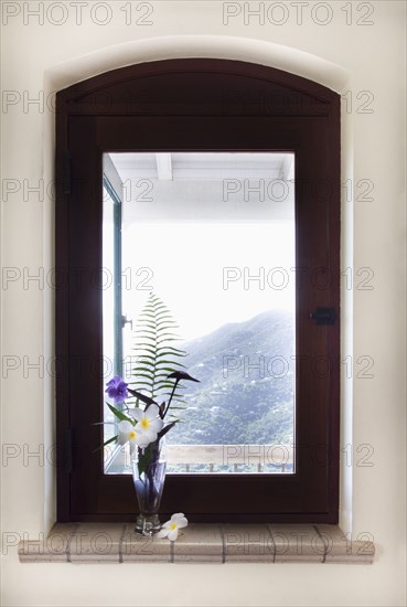 Tropical flowers in vase by window