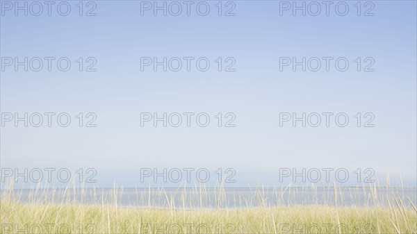 USA, M, Nantucket, View of Nantucket Sound from Madaket with grass in foreground