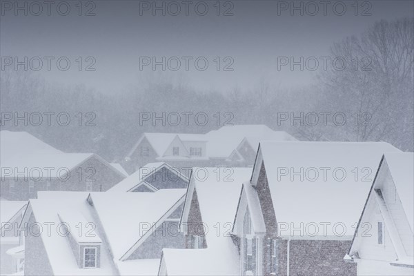 USA, Tennessee, Snowstorm over suburban neighborhood