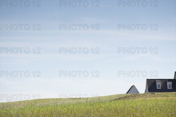 House roof visible beyond grassy hill, Nashville, Tennessee, USA