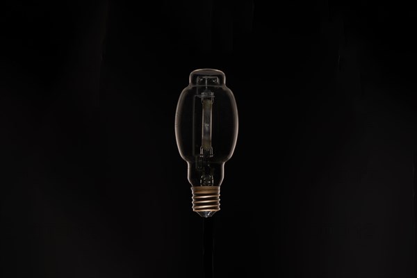 Studio shot of light bulb against black background