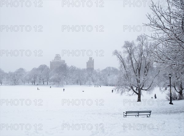 Bench and bare trees covered with snow in Brooklyn Prospect Park