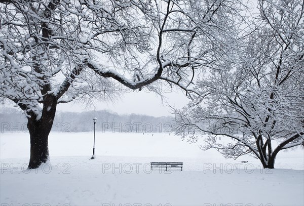 Bench and bare trees covered with snow in Brooklyn Prospect Park