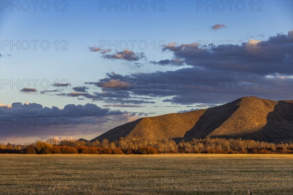 Field and hills at sunset