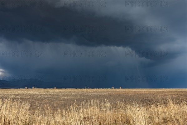 Dark storm clouds over field
