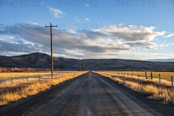 Empty dirt road crossing fields at sunset