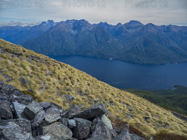 Fjord surrounded by green mountains in Fiordland National Park