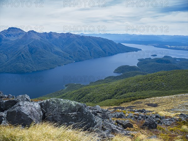 Fjord surrounded by green mountains in Fiordland National Park