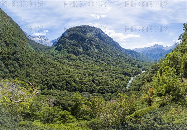 Green forested hills in Fiordland National Park