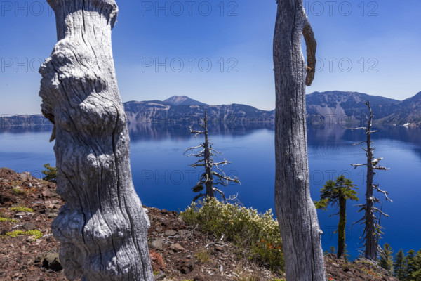USA, Oregon, Trees and mountains by calm Crater lake