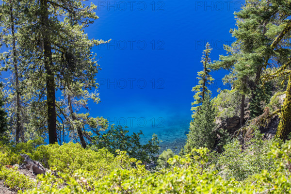 USA, Oregon, Trees by blue Crater Lake