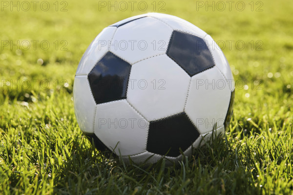 Soccer ball on Grass