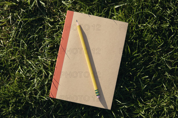 Overhead view of pencil and notebook on grass