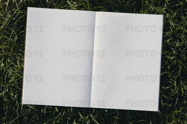Overhead view of open notebook with blank pages on grass