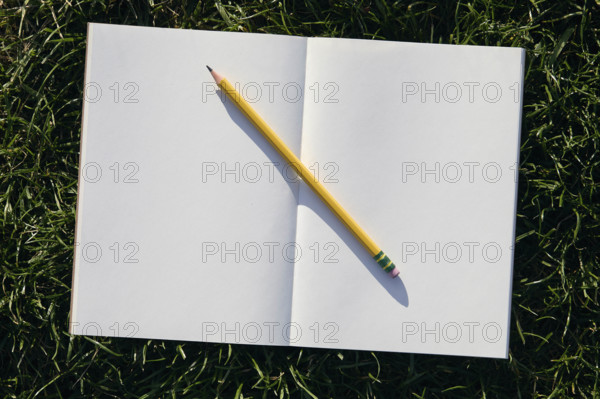 Overhead view of pencil on open notebook on grass