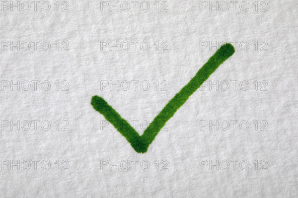 Close-up of green check mark on white paper