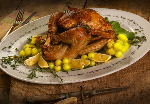 USA, Florida, Boca Raton, Roasted Thanksgiving turkey on plate