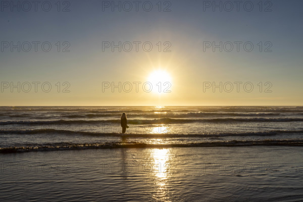 USA, Oregon, Cannon Beach, Rear view of woman standing in ocean at sunset