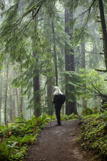 USA, Oregon, Cannon Beach, Senior female hiker on coastal trail through redwood forest
