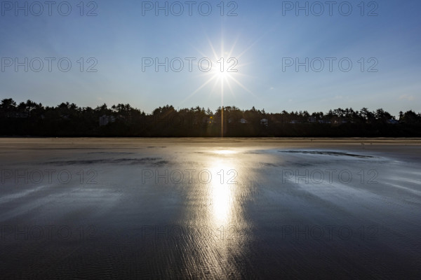 USA, Oregon, Newport, Morning sun reflecting in wet beach sand