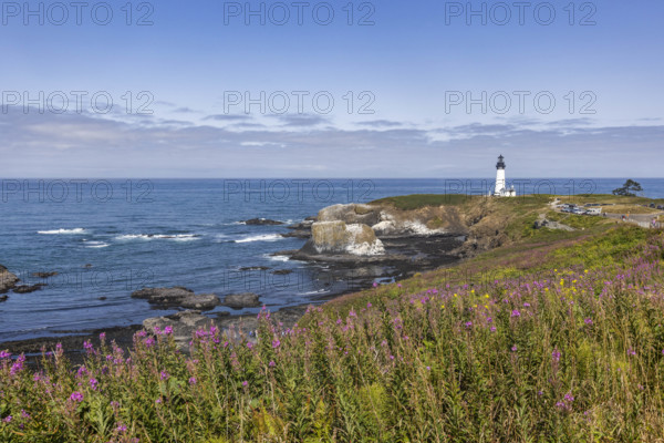 USA, Oregon, Newport, Lighthouse at Yaquina Head Outstanding Natural Area