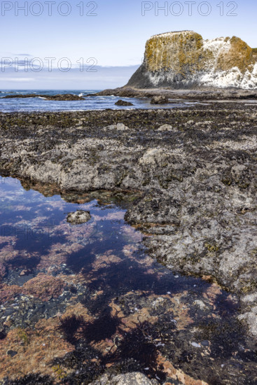 USA, Oregon, Newport, Rocky coast at Yaquina Head Outstanding Natural Area