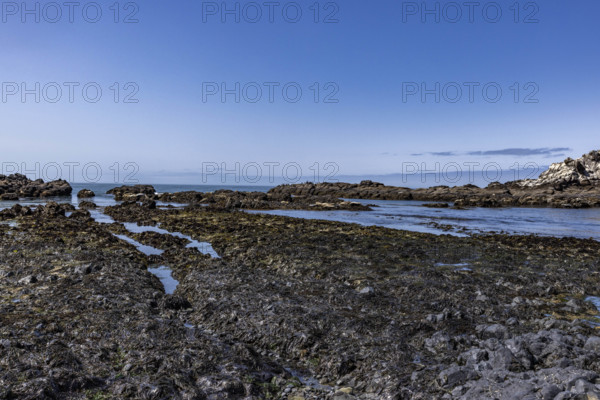USA, Oregon, Newport, Rocky coast at Yaquina Head Outstanding Natural Area
