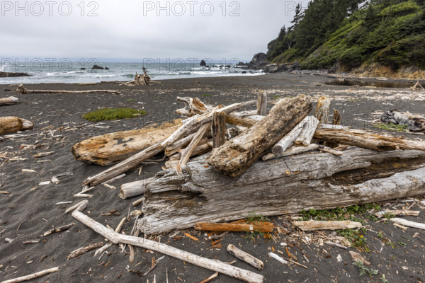 USA, Oregon, Brookings, Driftwood on empty beach on cloudy day