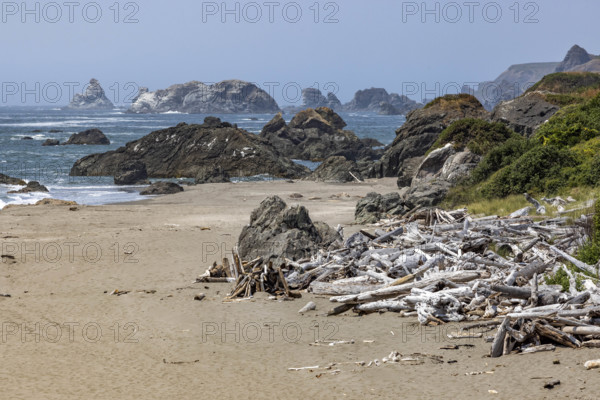 USA, Oregon, Brookings, Driftwood on empty rocky beach