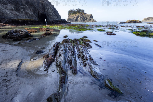 USA, Oregon, Brookings, Seascape at Secret Beach on Oregon Coast