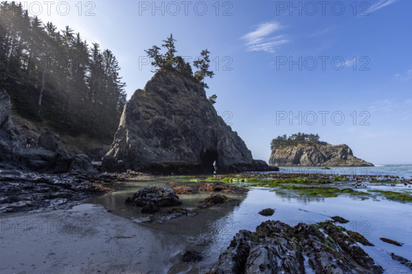 USA, Oregon, Brookings, Seascape at Secret Beach on Oregon Coast