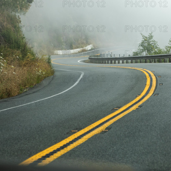 USA, Oregon, Brookings, Highway 1 leading through redwood forests on fog