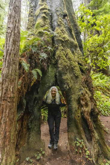 USA, California, Crescent City, Portrait of smiling of female hiker in redwood forest
