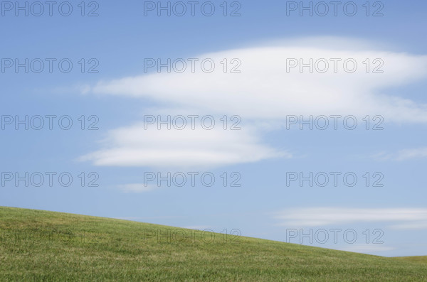 Field of grass on hill side