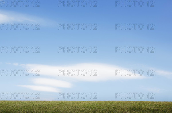 Field of grass and blue sky
