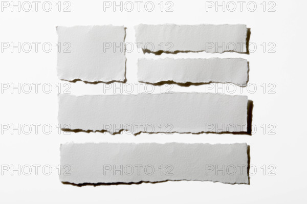 Pieces of torn paper on white background