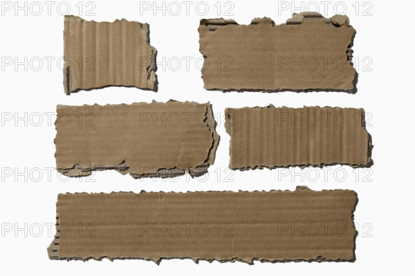 Pieces of torn cardboard on white background