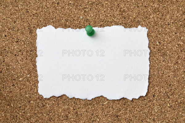 Blank piece of torn paper attached to cork board with push pin