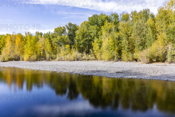 USA, Idaho, Bellevue, Calm river surface reflecting trees in autumn